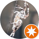 Bad Boy profile picture